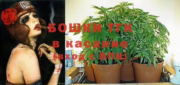 ПСИЛОЦИБИНОВЫЕ ГРИБЫ Алексин