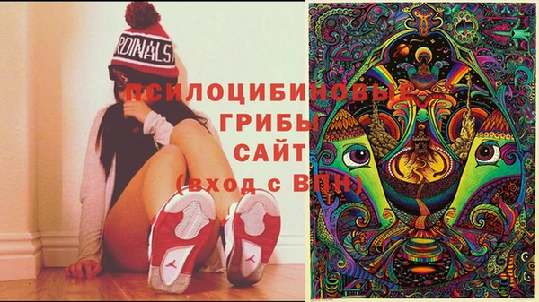 экстази Аркадак