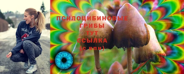 сатива Алексеевка
